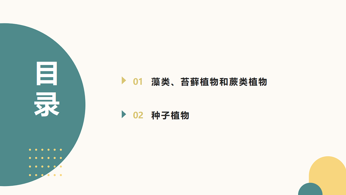 17643505第2页