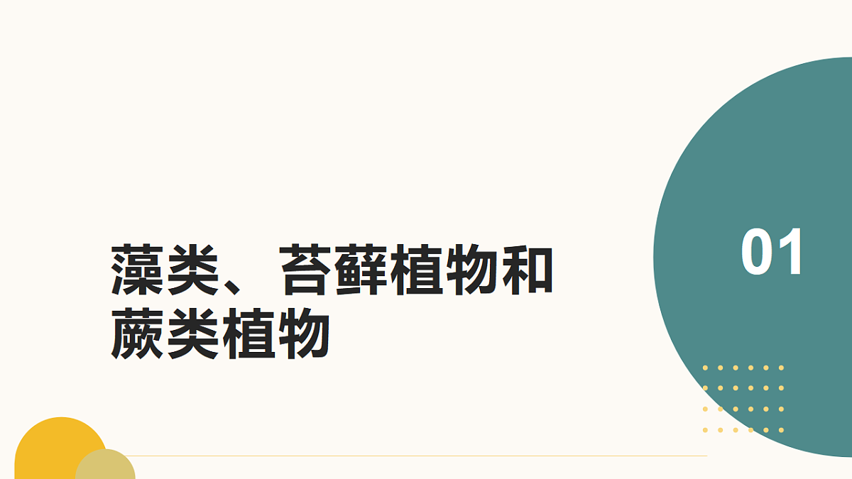17643505第3页