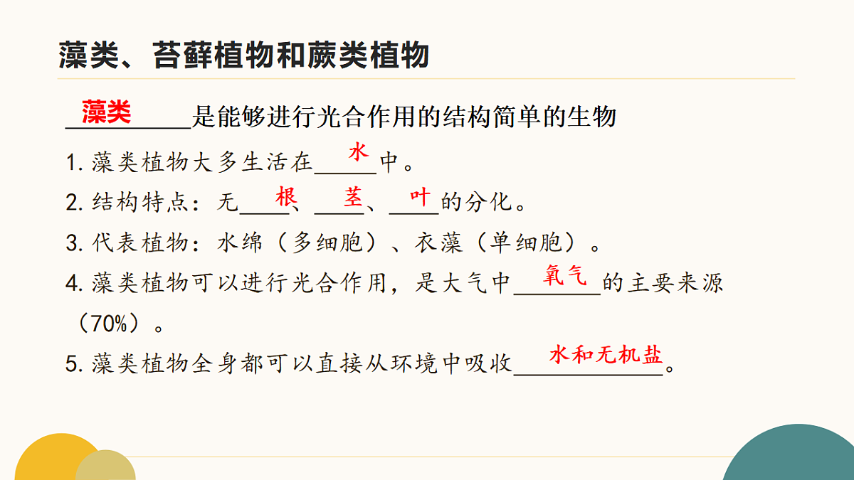 17643505第4页