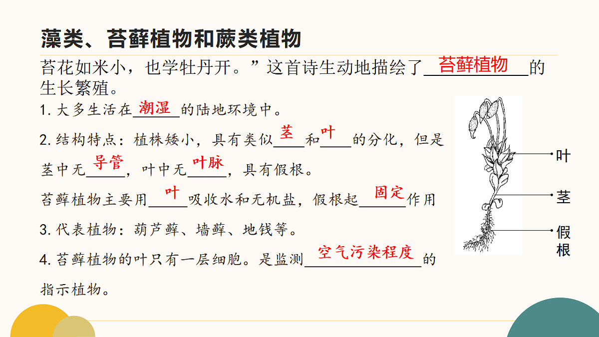 17643505第5页