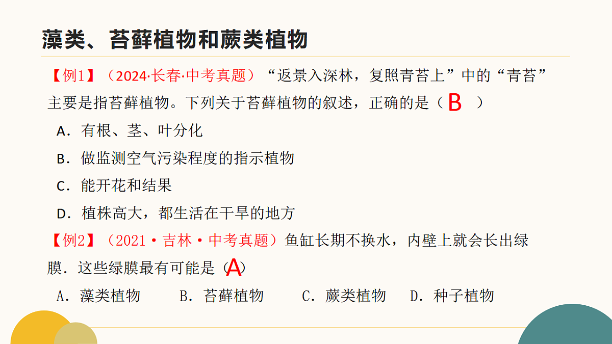 17643505第8页
