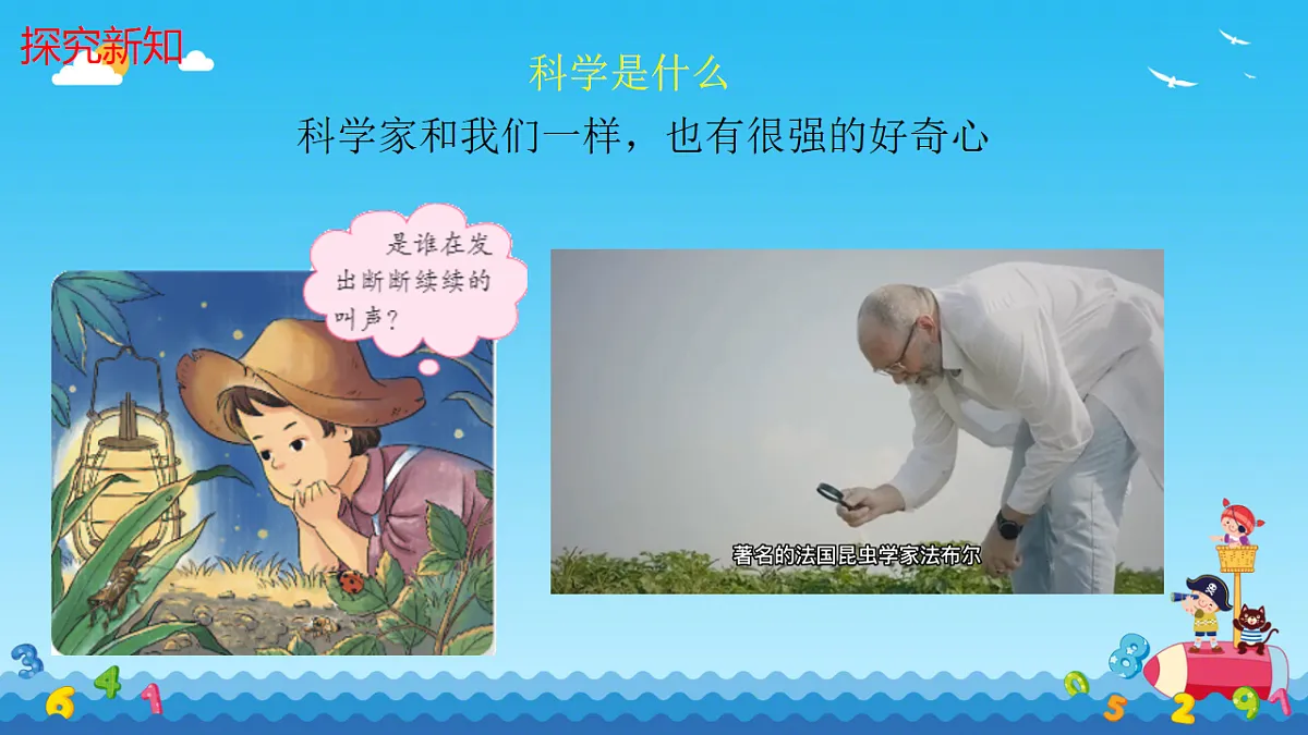 17645077第8页