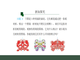 15.1.1 轴对称及其性质 (课件)2025-2026学年人教版八年级数学上册