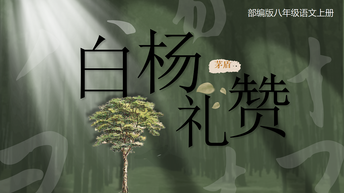 17645227第1页