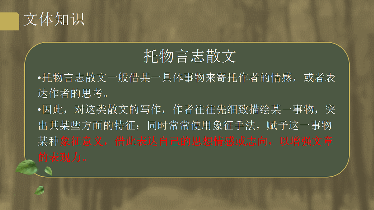 17645227第6页