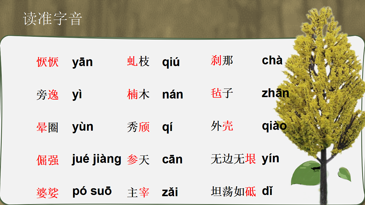 17645227第7页