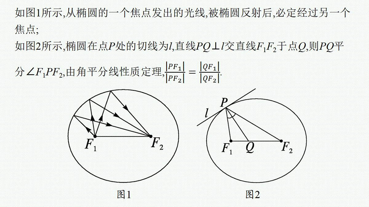 17645313第5页