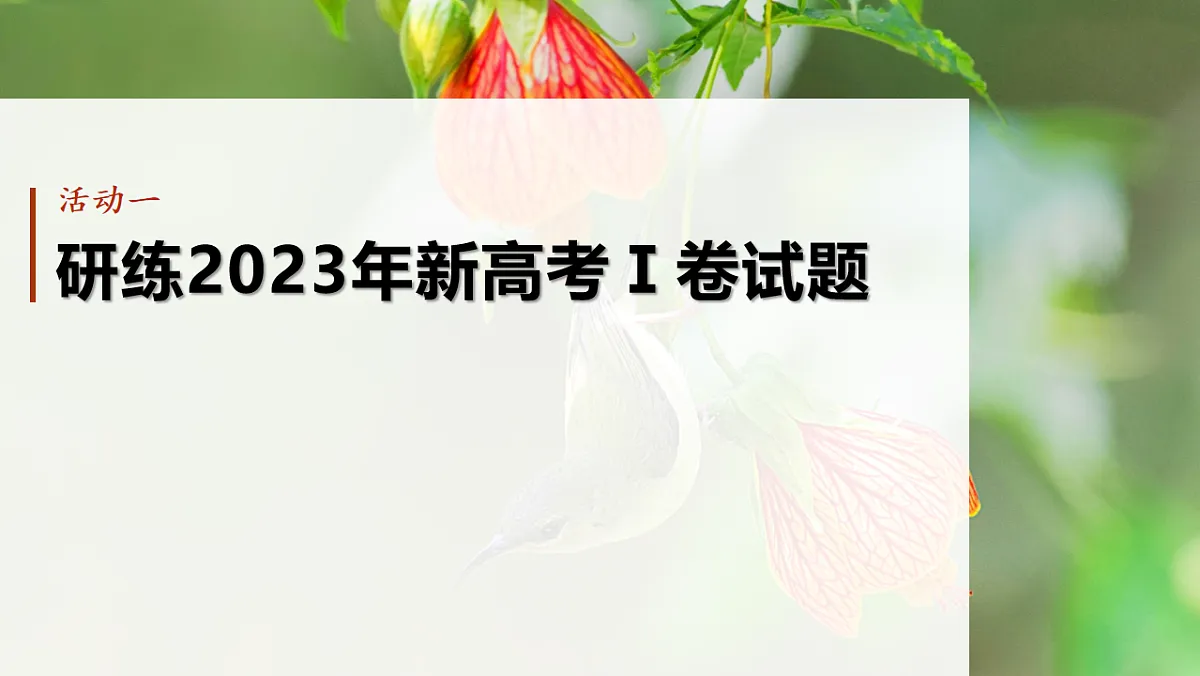 17645385第5页