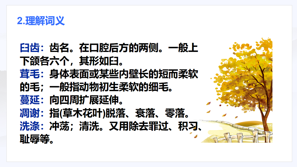 17645706第6页
