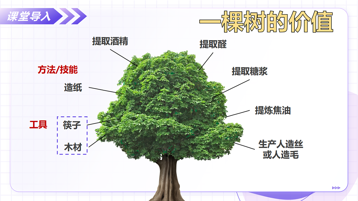 17645890第7页