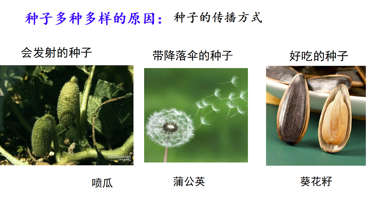 17646009第3页