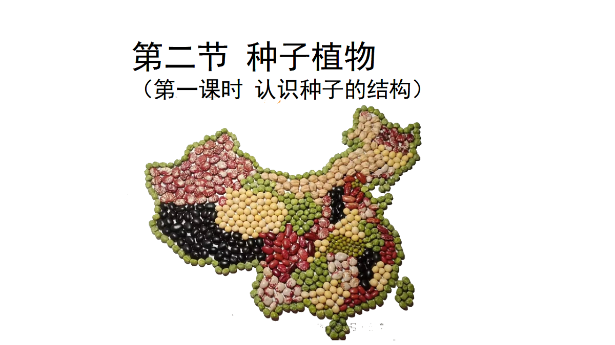 17646009第4页