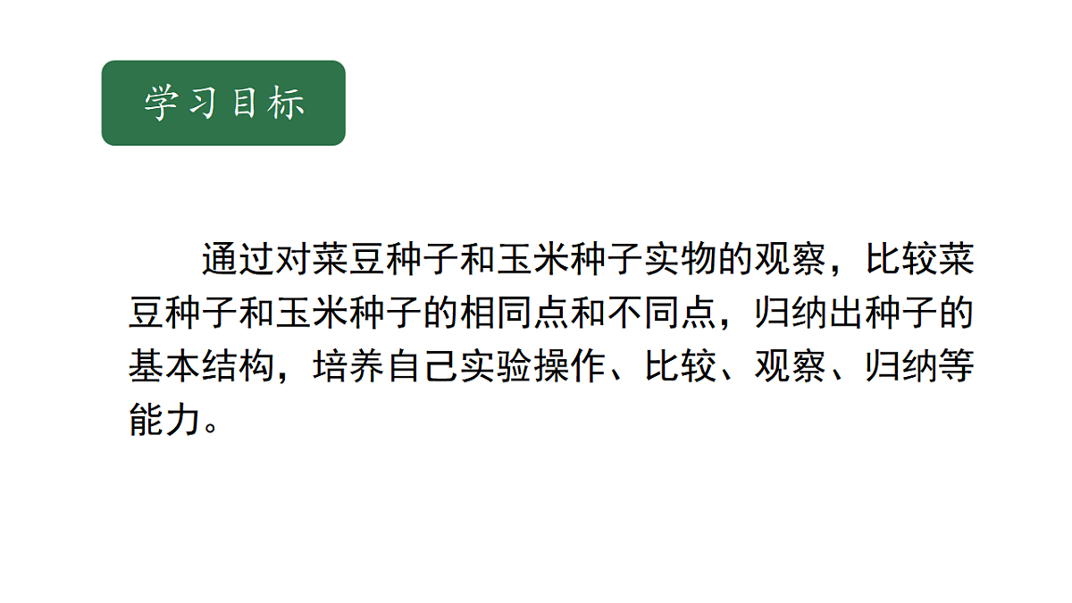 17646009第5页