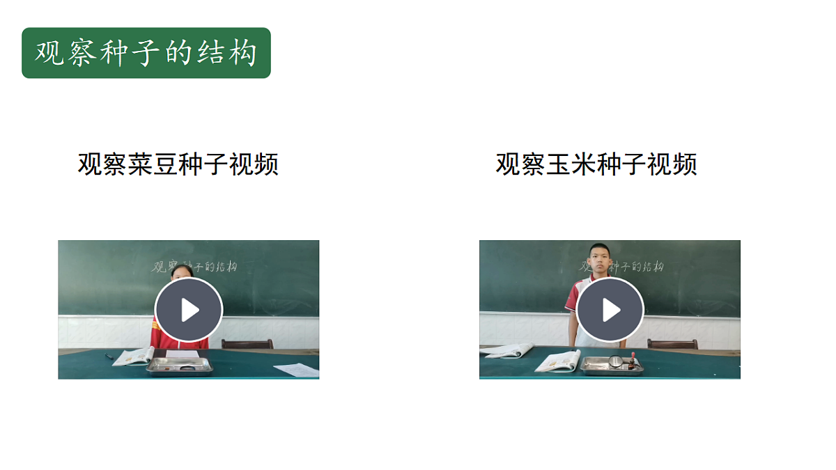 17646009第6页