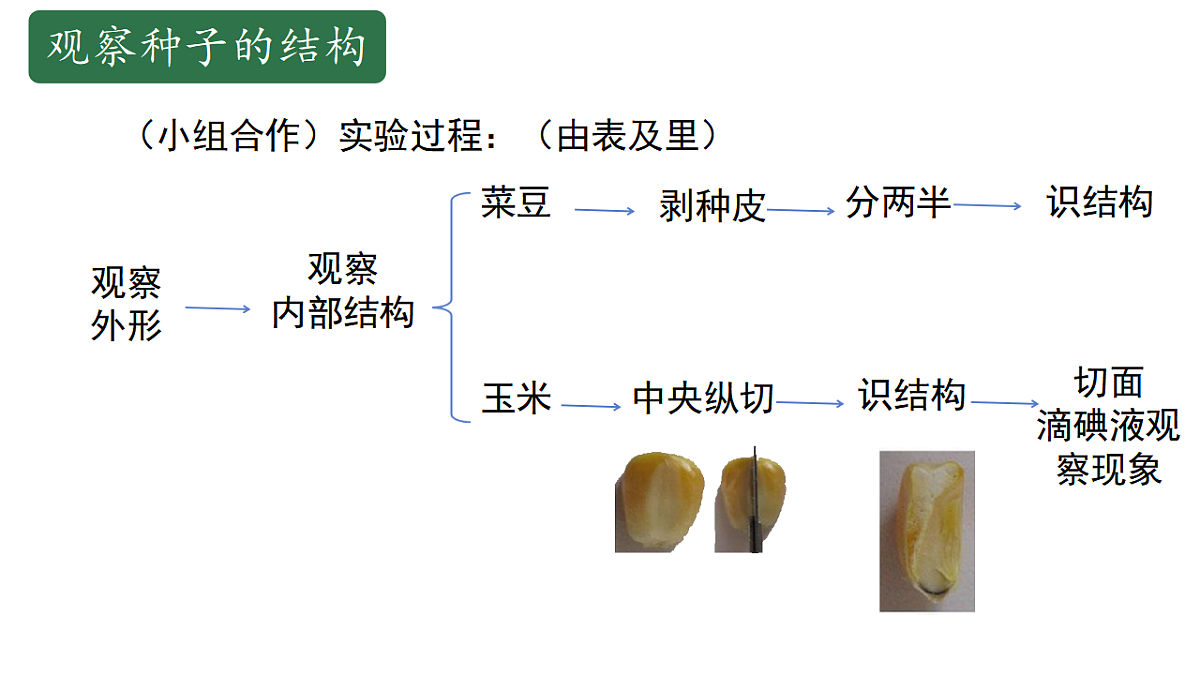 17646009第7页