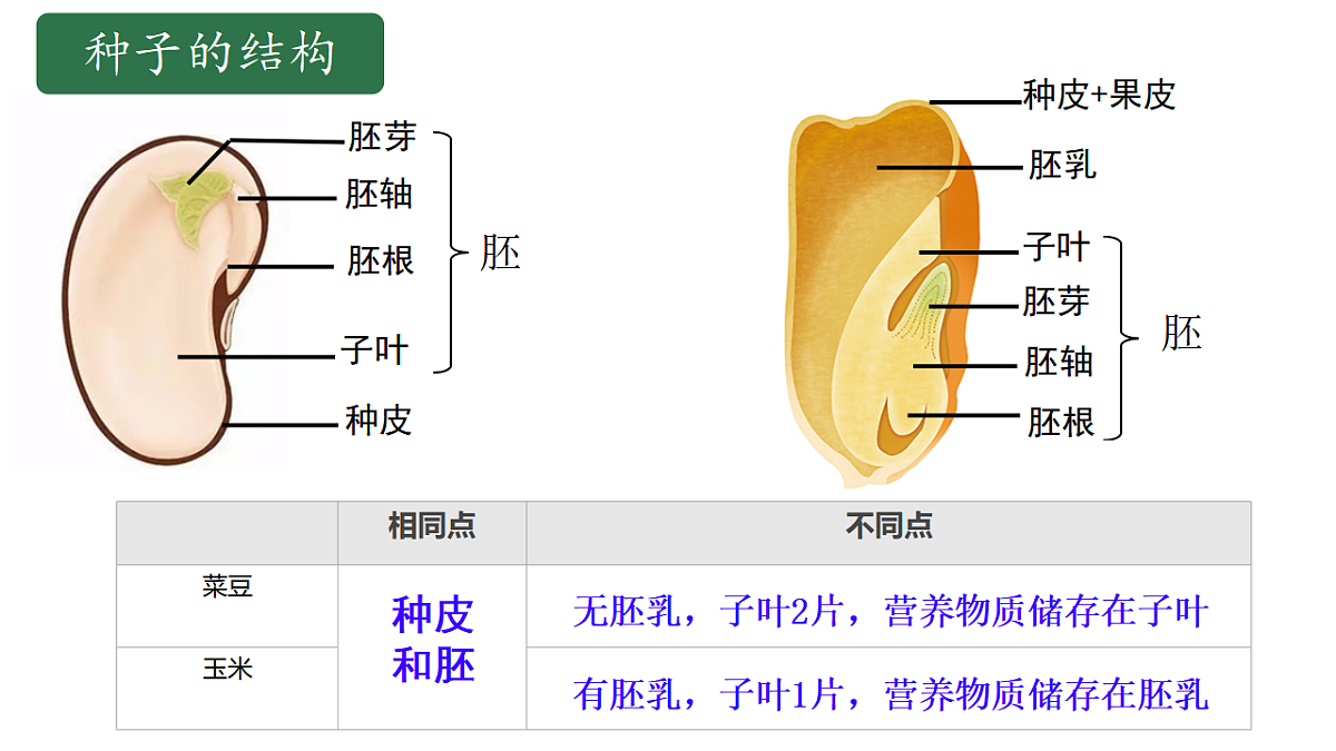 17646009第8页