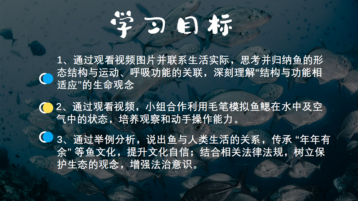 17646011第2页