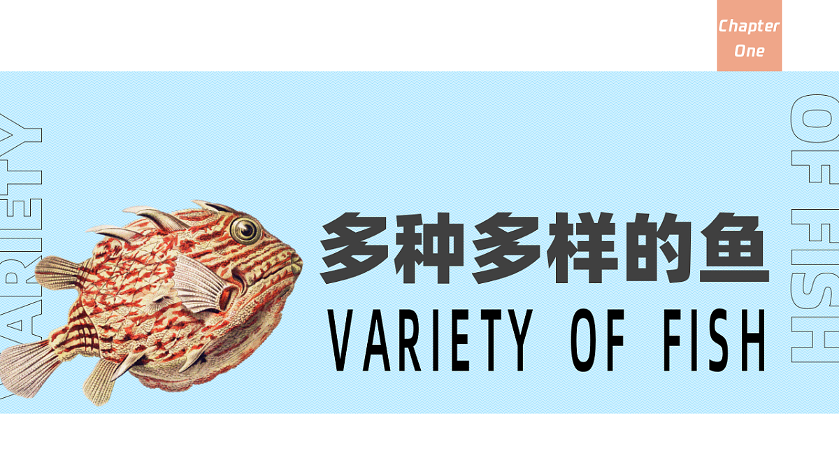 17646011第4页