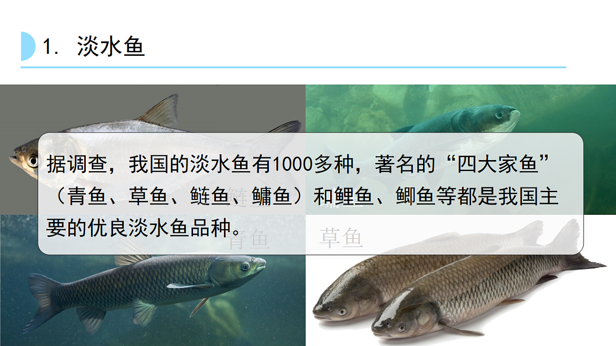 17646011第5页