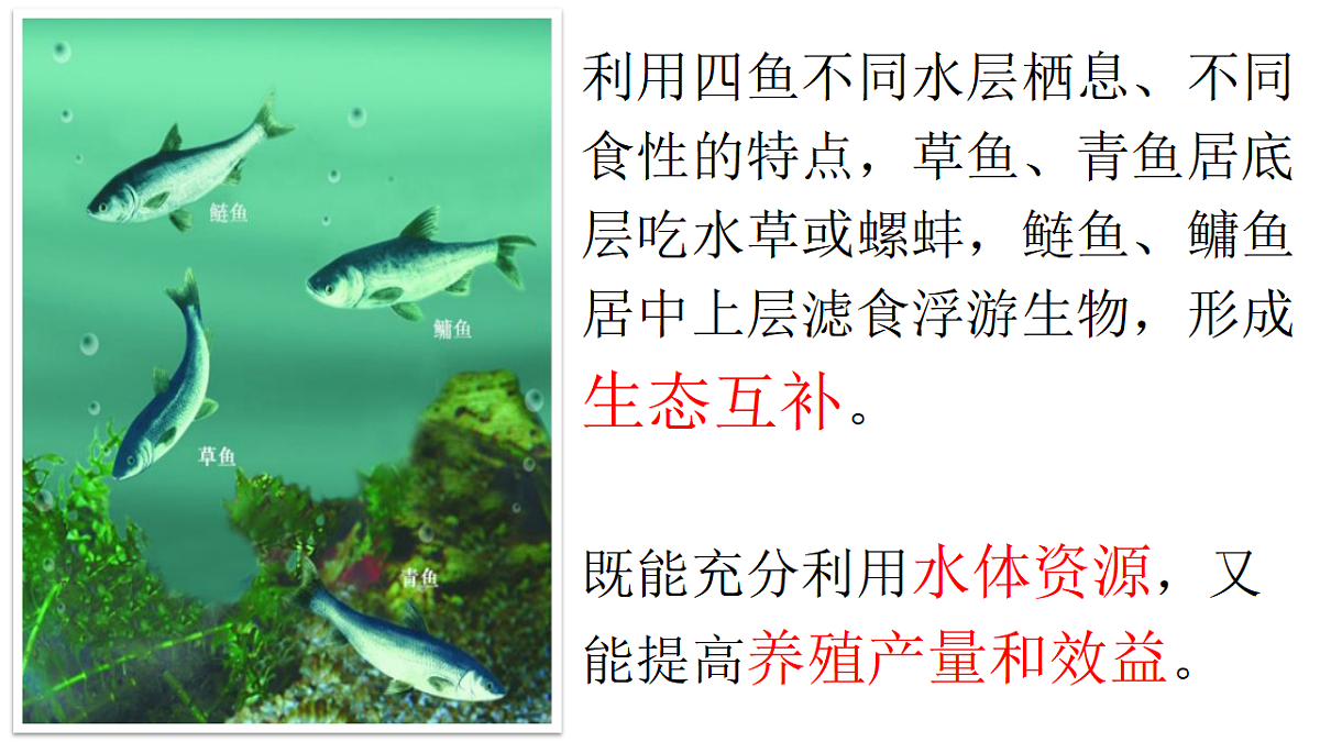 17646011第6页