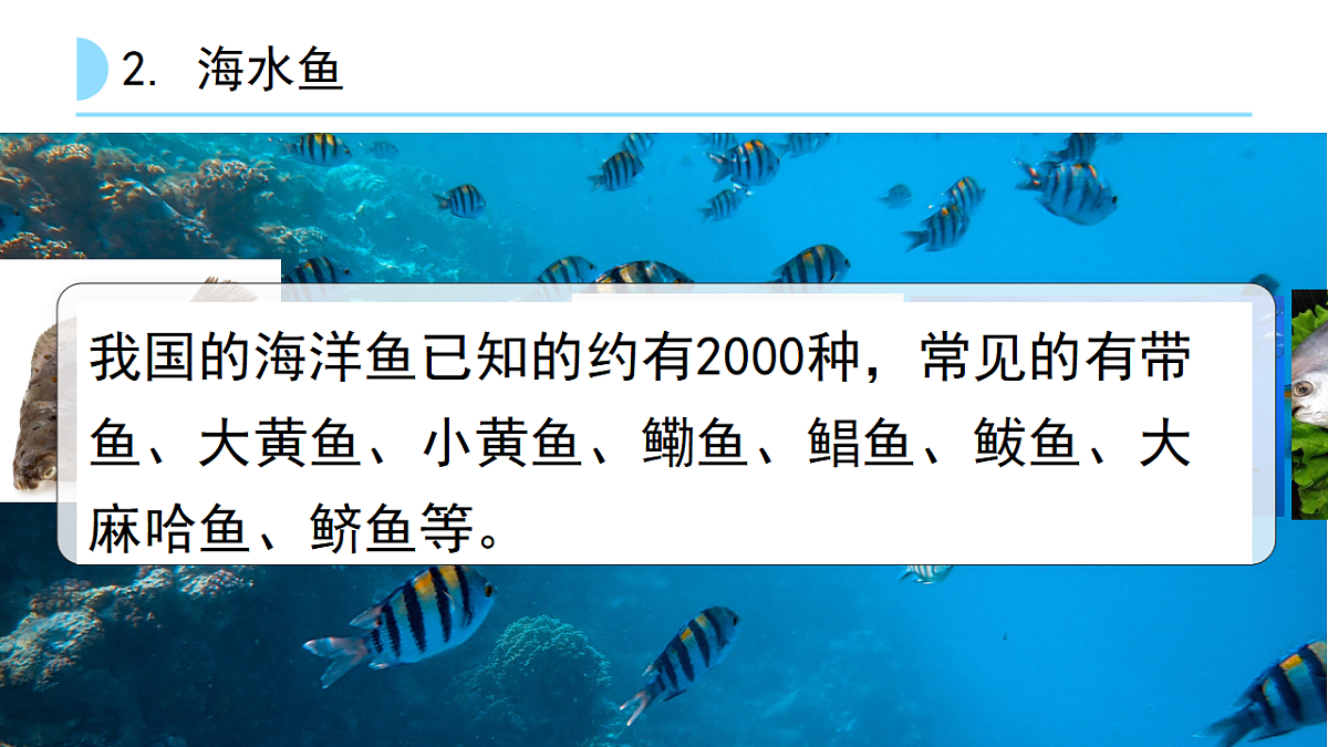 17646011第7页