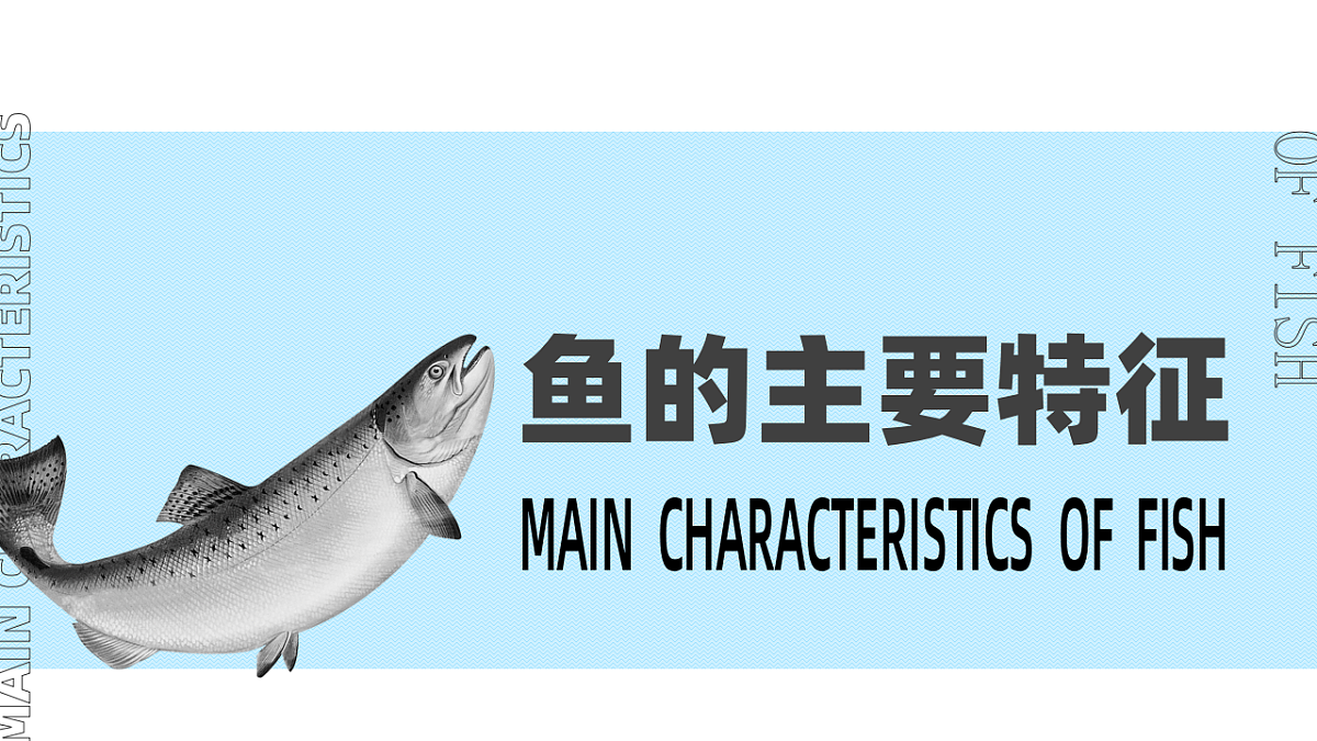 17646011第8页