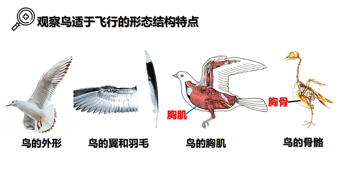 17646014第6页