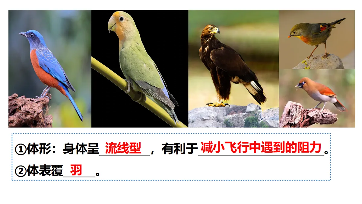 17646014第7页