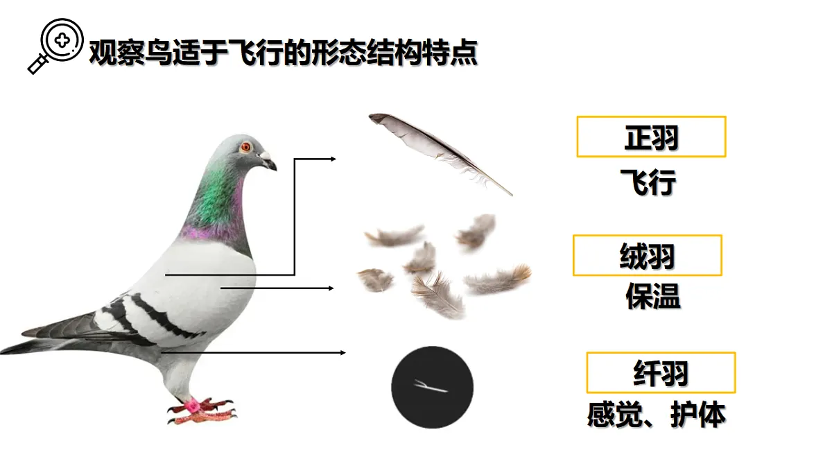 17646014第8页