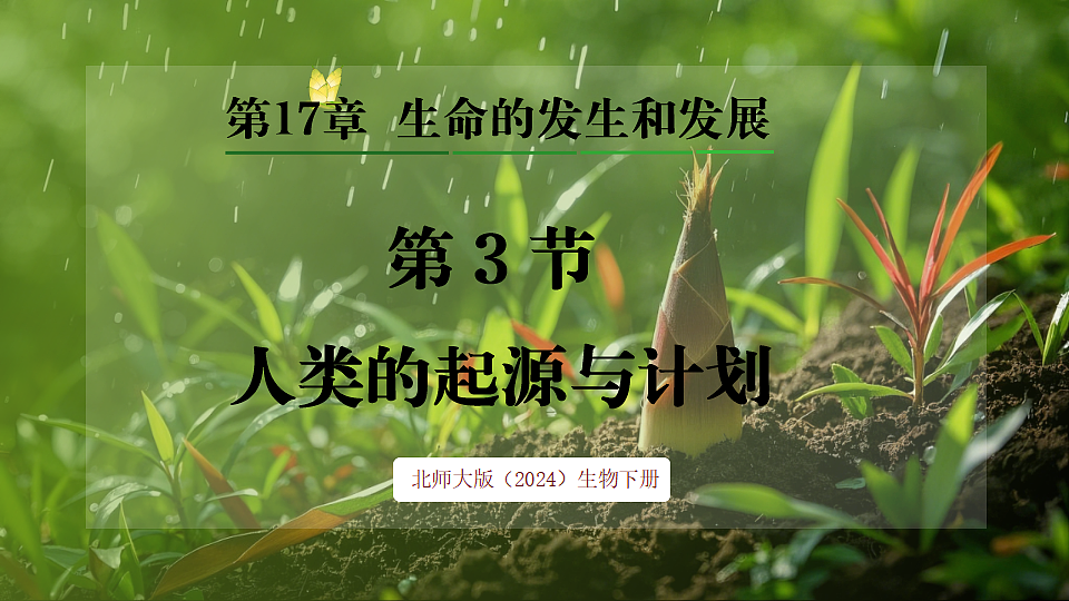 17648271第1页