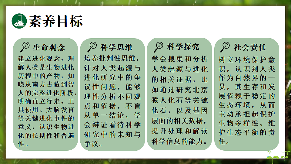 17648271第2页