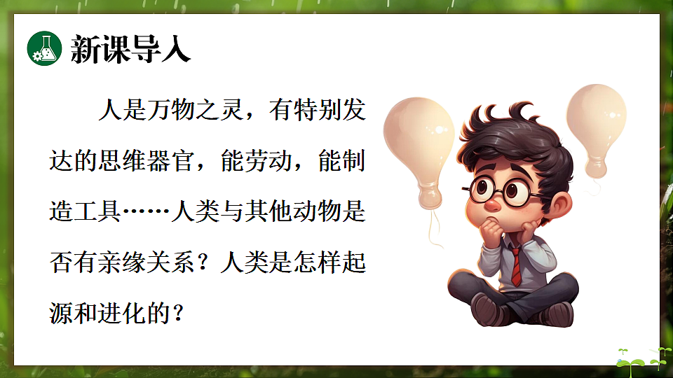 17648271第3页