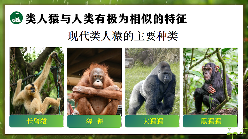 17648271第4页