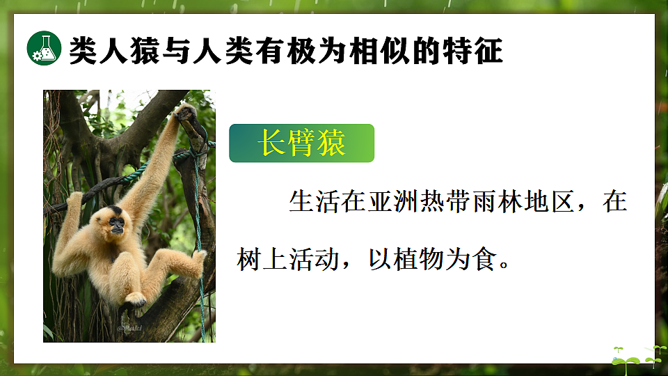 17648271第5页