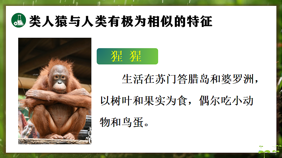 17648271第6页
