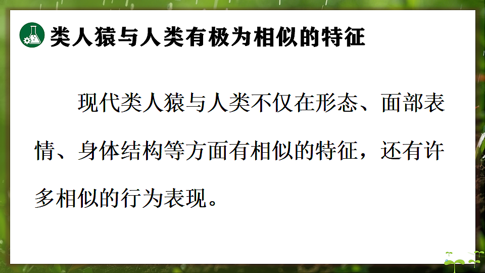 17648271第8页