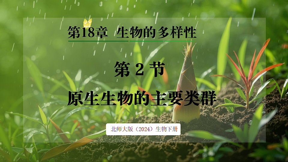 17648273第1页