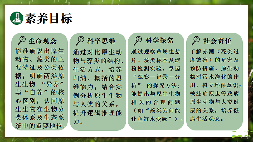 17648273第2页