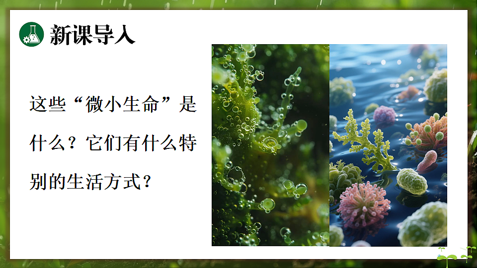 17648273第3页