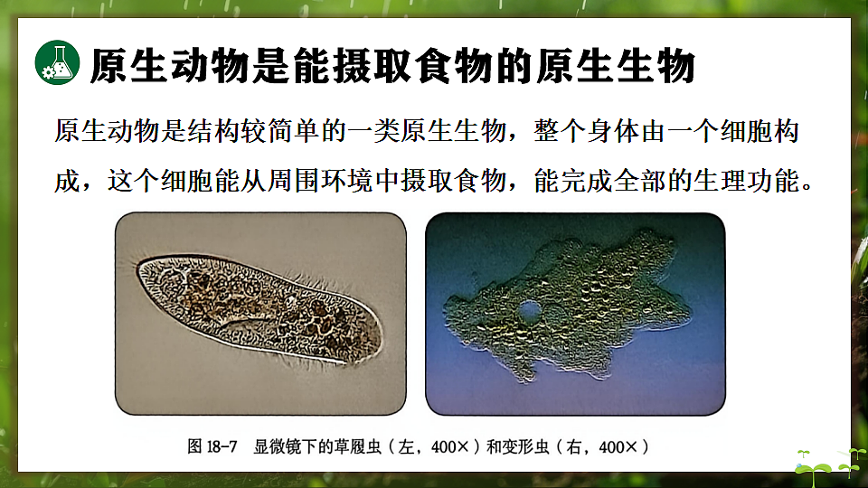 17648273第4页