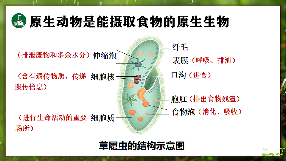 17648273第5页