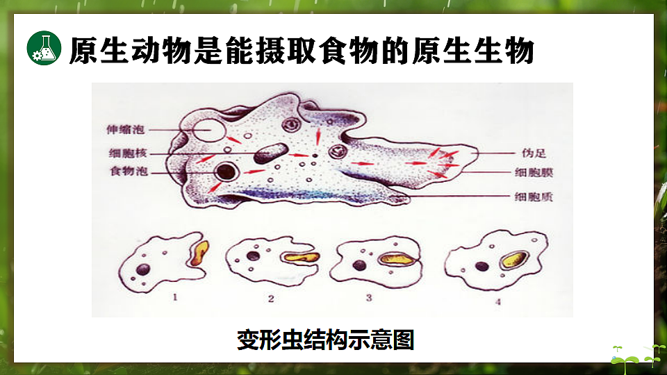 17648273第6页