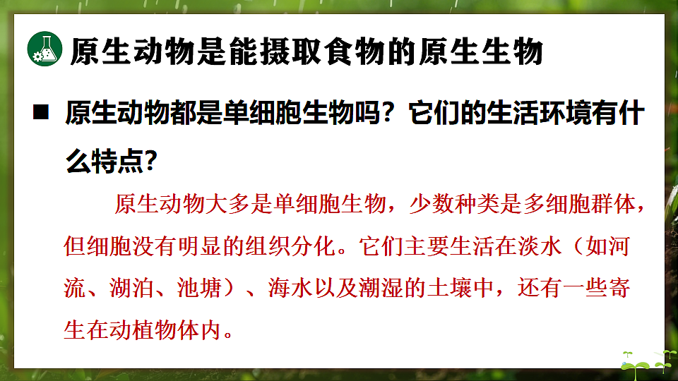 17648273第7页