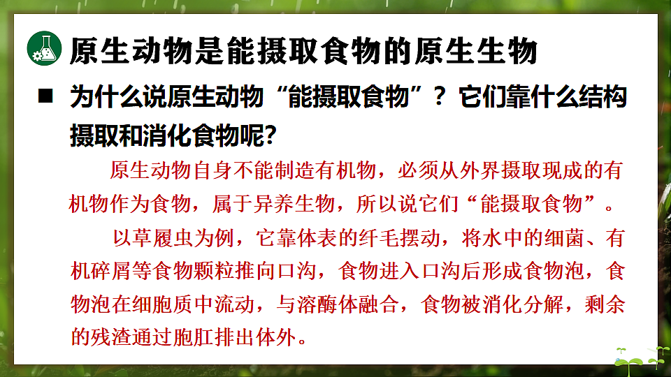 17648273第8页