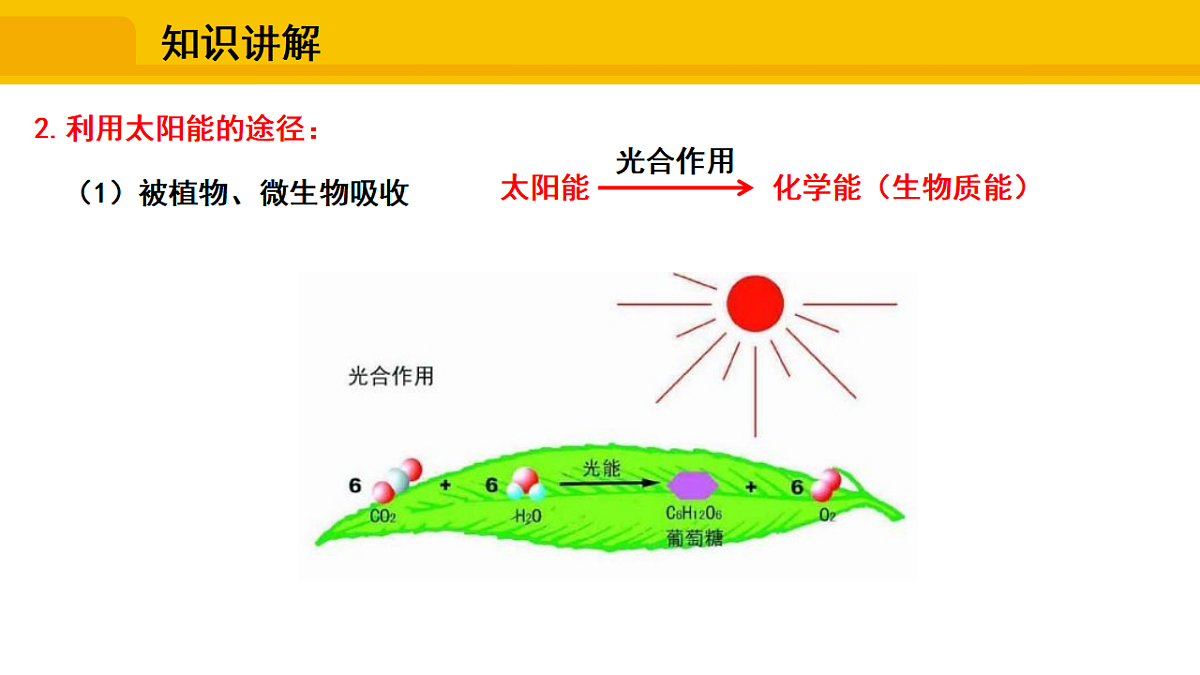 17648623第4页