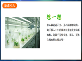 冀少版（2024）生物八年级下册 6.1.2 无性生殖（课件）