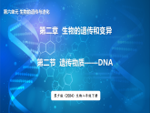 冀少版（2024）生物八年级下册 6.2.2 遗传物质——DNA（课件）