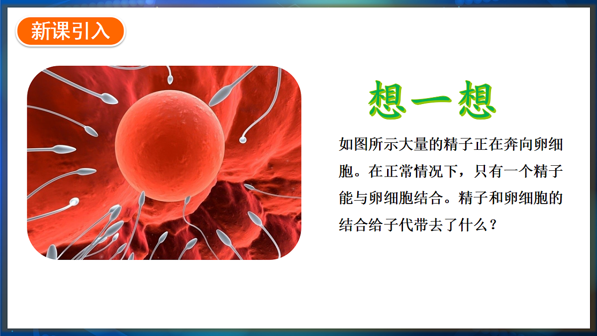 17648728第2页
