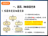 冀少版（2024）生物八年级下册 6.2.2 遗传物质——DNA（课件）