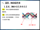 冀少版（2024）生物八年级下册 6.2.2 遗传物质——DNA（课件）
